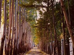 -广东金融学院(校本部)