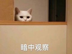-赛百味(仙林金鹰店)