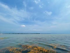 -邛海风味特色菜馆