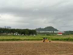 -光明小镇欢乐田园