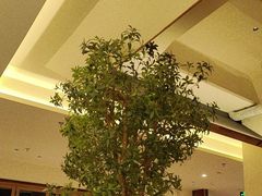 -春家·非遗手工小吃(徐汇万科广场店)