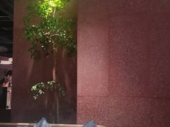 -柴门头啖汤·经典川菜·慢火汤品(锦城万达店)
