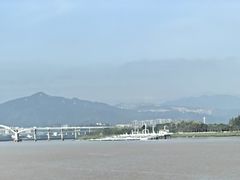 -江心屿景区