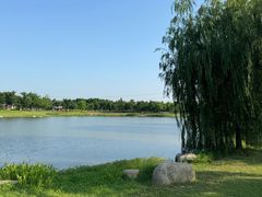 -上海滨江森林公园