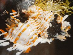 -炉小哥烤肉(朗悦公园茂店)