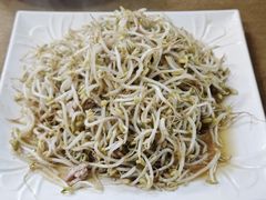 笨豆芽炒肉丝-鑫诚筋饼王(红旗小区店)
