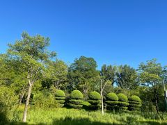 -燕郊植物园