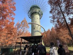 -黄海国家森林公园