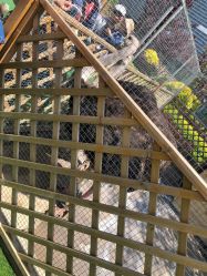 -萌宠亲子动物乐园(槐房万达店)