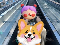 -富士电视台总部大楼