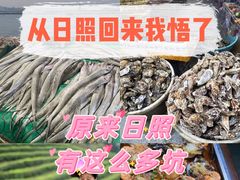 -渡海小渔村.老辈日照菜