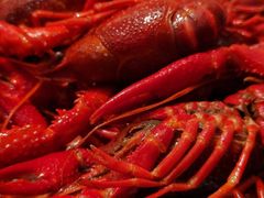 -菲住布渴酒店自助餐厅(阿里巴巴西溪园区店)