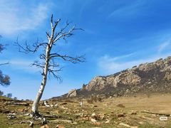 -克什克腾世界地质公园青山景区