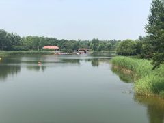 -大兴滨河森林公园