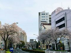 -成都濑川外国语学校