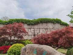 -嘉定紫藤园