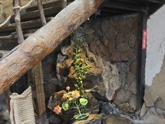 -酒肉门孔府菜(曲阜游客中心店)