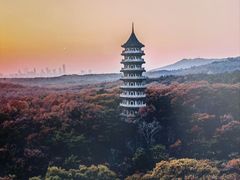 -灵谷景区