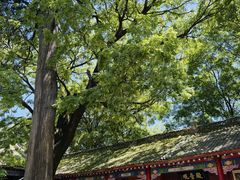 -少华山国家森林公园