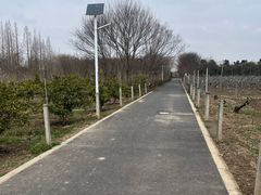 -小六农家乐(崇明西沙湿地店)