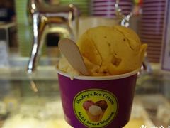 百香果味雪糕-Dooley's Premium Ice Cream