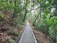 -广州市白云山风景名胜区