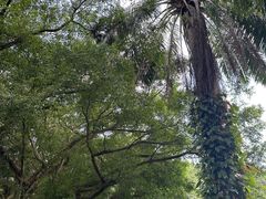 -海南热带野生动植物园