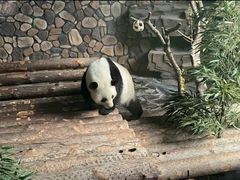 -济南野生动物世界