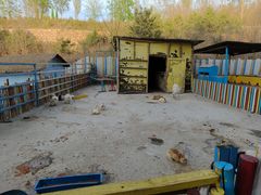 -西部长青自然儿童乐园