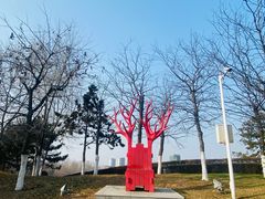 -莫子山公园