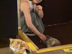 -猫岛主趣味餐厅(鼓浪屿店)