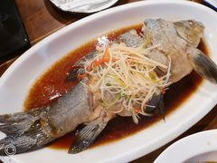 高原雪山鱼-小厨子私房菜·云南美食店