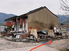 -新建村梅花