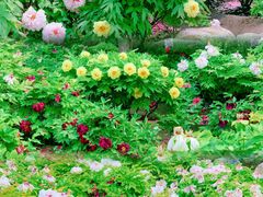 -莲花池公园