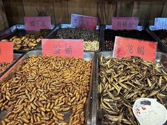 -昆虫窝子·特色云南菜(拓东路总店)