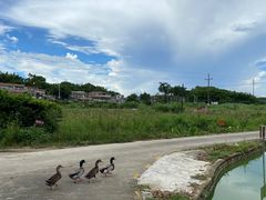 -三泉湾侨文化主题餐厅