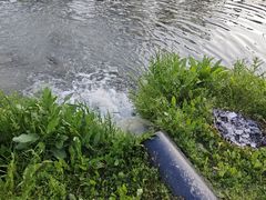 -石塘人家
