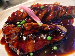 -桂满陇天书(南京德基旗舰店)