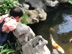 -鲤院·新中式美学·庭院餐厅(夫子庙店)