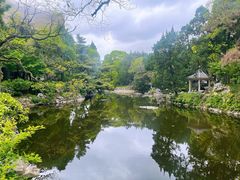 -叶家花园