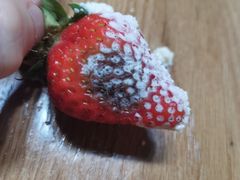 -爱维尔阳光蛋糕(汇金广场店)