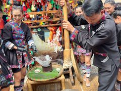 -西双版纳原始森林公园