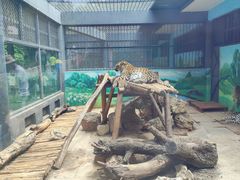 -昆明动物园