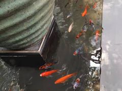 -旅马餐厅(茅家埠店)