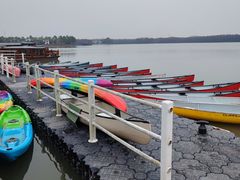 -上海海湾国家森林公园