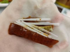 -正阳春烤鸭(华捷道店)