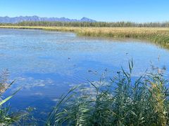 -野鸭湖国家湿地公园