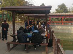 -尚庄度假村·庭台树下·户外烧烤·团建CS·轰趴营地(上庄水库店)