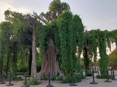 -石家庄市植物园