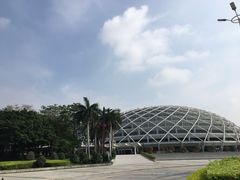 -文华公园(禅城区)